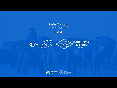 Feria Tostado | Tostado