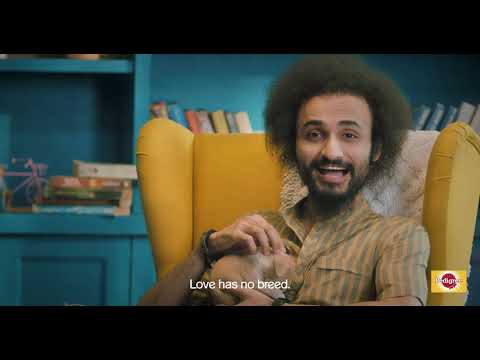 MARS Petcare encourages Indian citizens to adopt desi dogs with Pedigree India’s #BeIndieProud campaign
