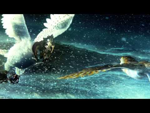 Legend of The Guardians Soundtrack - 9.  Follow The Whale's Fin