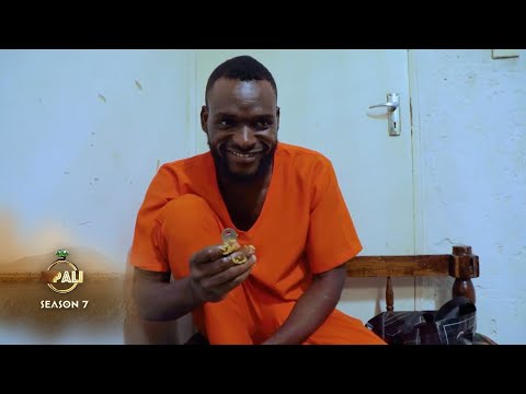 Chola and the frightened thugs – Mpali | S7 | Ep 45 | Zambezi Magic