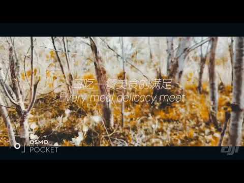 L’Oasi a cancello arnone