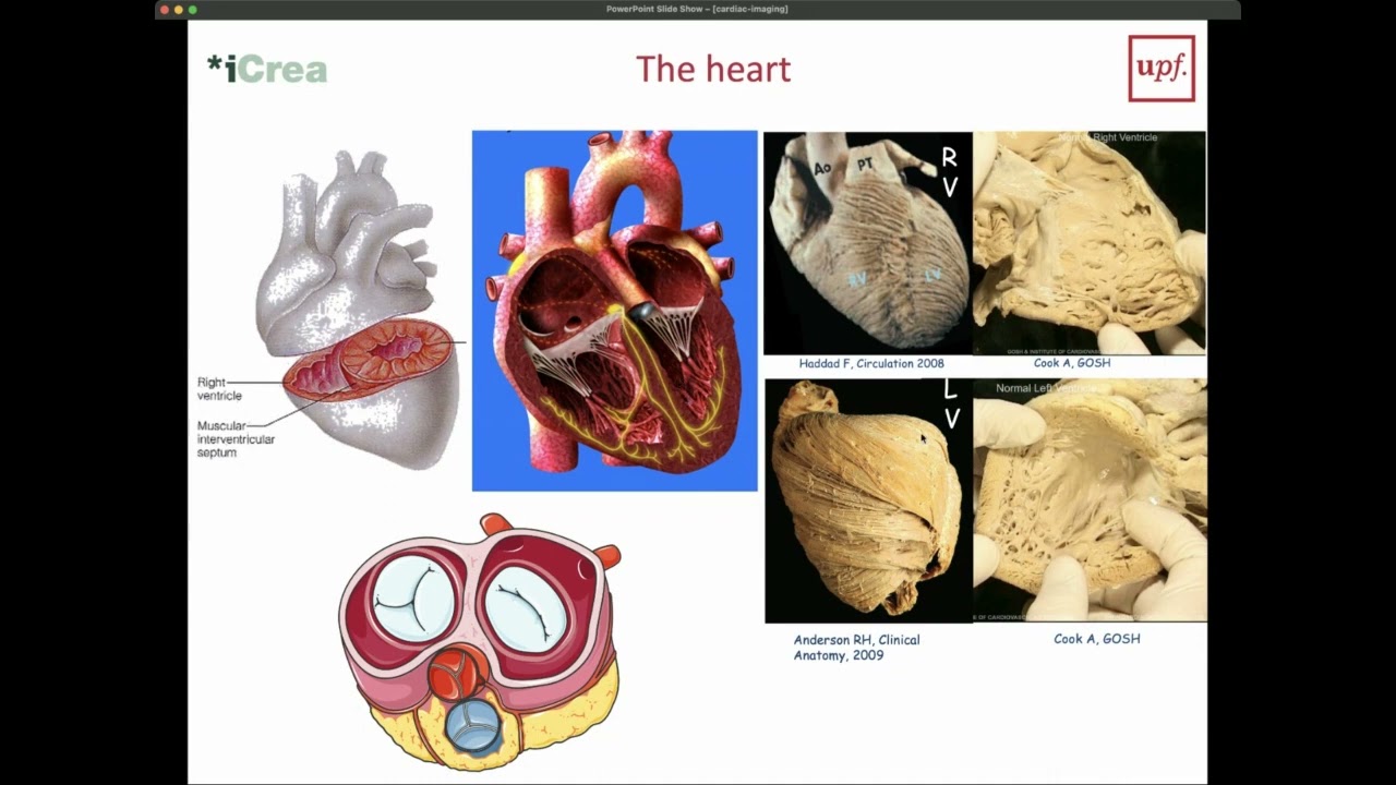 Medical Imaging Modalities -  Cardiac Imaging 1/3