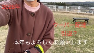 2026年　今年もよろしくお願いします　ついにウーバー稼働引退？