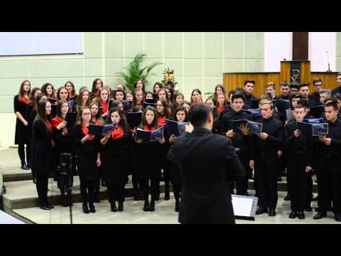 concert colinde 2014 LTB