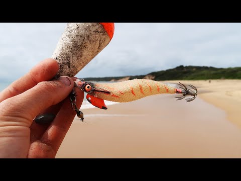 Fiskeri efter blæksprutter fra kysten