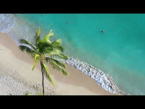 Beautiful sea of nature