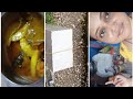আমরা যে ফ্ল্যাটে থাকতাম সেই ফ্লাটে থে�