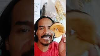 Download lagu On the Sultan's Tuwek Day, you can still buy donuts🤣🤣🤣 mp3 Download lagu On the Sultan's Tuwek Day, you can still buy donuts🤣🤣🤣 mp3