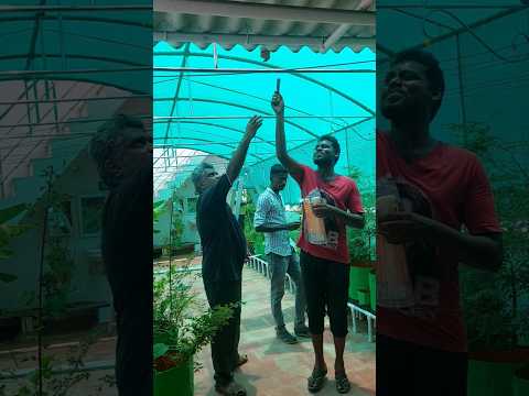 👍#motivation #quotes #shortsfeed #tamilmotivationalquotesforsuccess