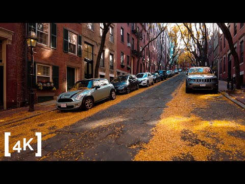 Relaxing walk at Beacon Hill - Boston, MA - Fall Leaves ASMR