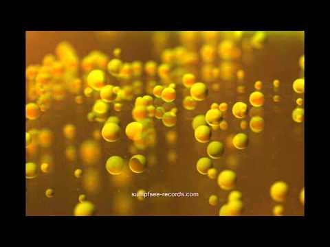 Rodden von Ast - Murmelgruppe (Original Mix)