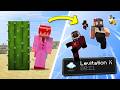 Minecraft But If We Take Damage We All Get A Random Effect