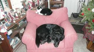 inner city blues vid.wmv