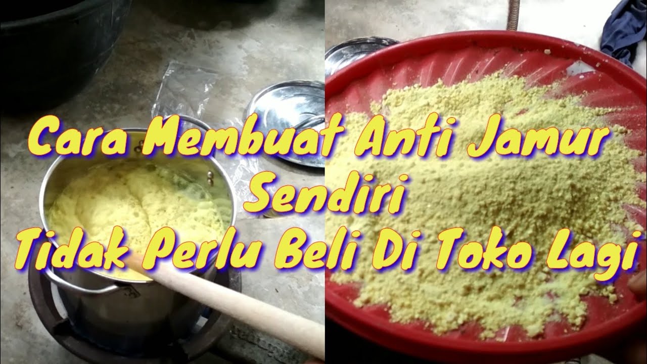 Putar video cara membuat anti jamur/ fungisida sendiri sekarang cara membuat anti jamur/ fungisida sendiri