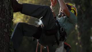 Treescape Inc - Charlotte / Gastonia Tree Service