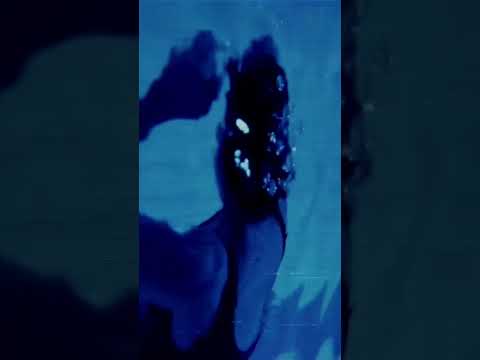 "Blue"; "Trois couleurs: Bleu" is a 1993 film directed by Krzysztof Kieślowski. #unitedartists2