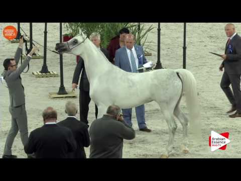 Paris 2016 World Cup - Class CM3 B