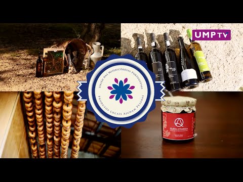 Vídeo promocional «Marca Misericórdia» 2015
