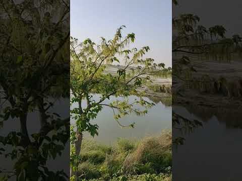 Natural River Seen of Sarayu Is a ancient river of India. #shorts #shortsfeed