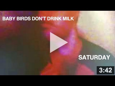 Baby Birds Don't Drink Milk - Saturday (Official Music Video)