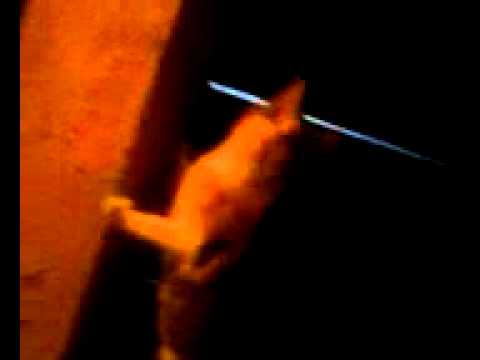 missy wanting a moth lol