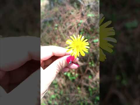 🔥🔥🔥🔥🔥🔥