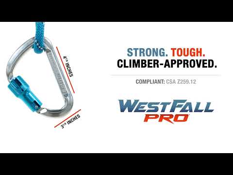 WestFall Pro 7436 4-7/8 x 3-1/8 Inch Aluminum Carabiner