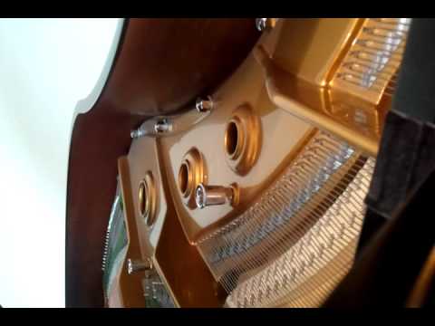 Novo Hino Lindo Sol nr 41 padrinho Valdete