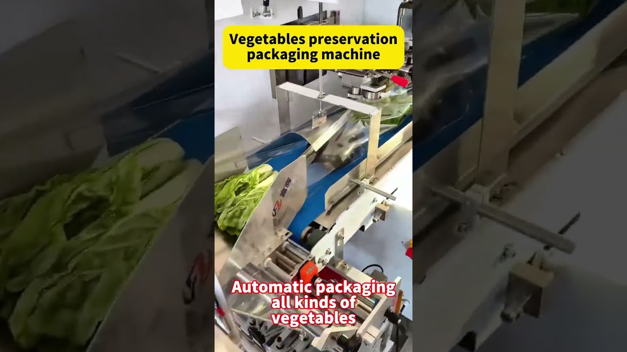 Automatic vegetables packaging machine. #machine #packingmachinefactory #factory #tools
