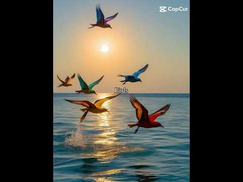 slay!!! #aksacat #cat