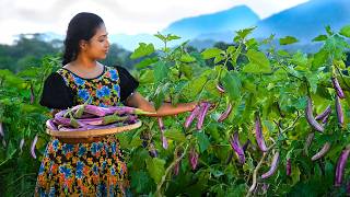 Eggplant Harvest to Family Lunch & Afternoon Tea ASMR | Nature & Sizzling Sounds | Traditional Me
