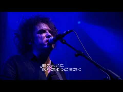 THE CURE - A SHORT TERM EFFECT (2002)