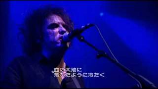 The Cure A Short Term Effect Live Video