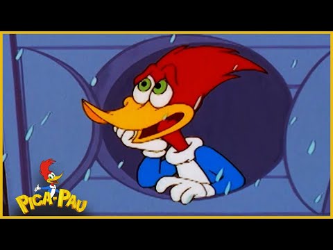 Pica-Pau em Português | Mau Tempo | Episódio Completo de Pica-Pau | Desenhos Animados