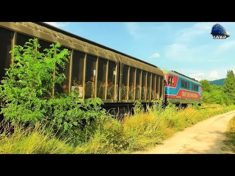 ND2 60-1517-1 & Marfar GFR Freight Train Intra/Enter in Gara Piatra Craiului Station - 23 July 2017