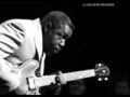 Lurrie Bell /  No Picks