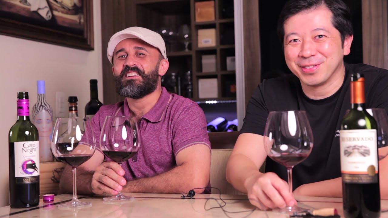 Vinho tinto de baixo custo vale a pena Duelo Carménère: Gato Preto  X Concha y Toro Reservado