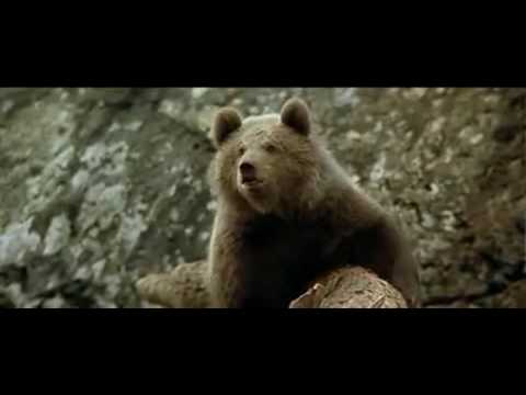 L'Ours (1988)  The Cougar Scene (HQ)