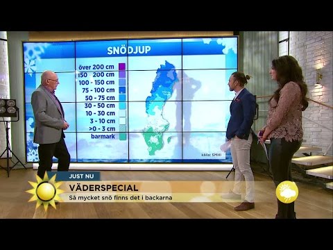 Sol från norr till söder - Nyhetsmorgon (TV4)