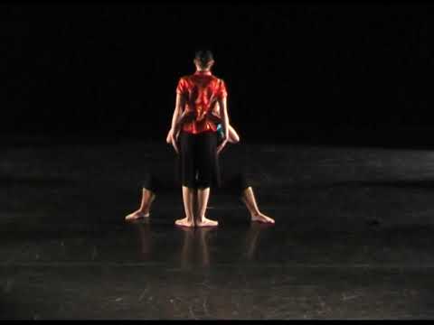 Taneční GALA 2008, Vašo Patejdl a Ivan Svěcený  – Labyrint světa, HAIKU