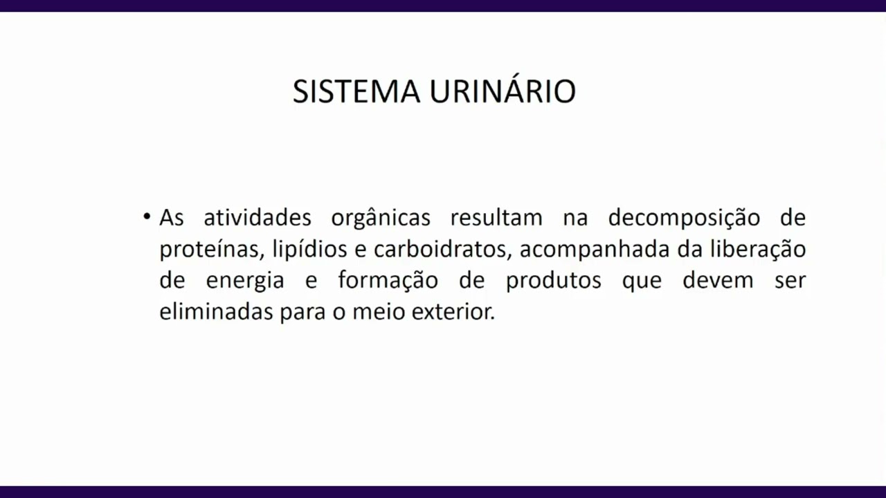 Anatomia geral - aula 6.