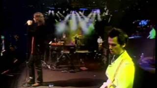 The American Night - A Tribute To The Doors