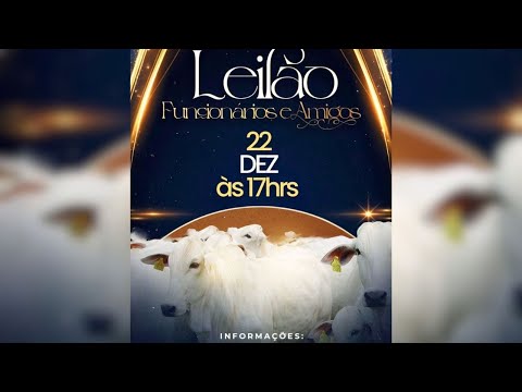 LEILÃO FUNCIONÁRIOS E AMIGOS - PORANGATU GO. 22/12/2025