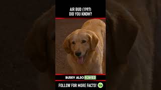 Download lagu Did you know THIS about AIR BUD (1997)? mp3 Download lagu Did you know THIS about AIR BUD (1997)? mp3