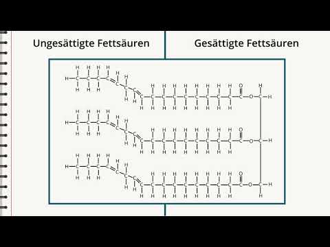 Chemie: Gesättigte und ungesättigte Fettsäuren