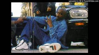 Niggaz Done Changed [Classez Moi Dans La Variet (Doc Gyneco SimpelSampel)]