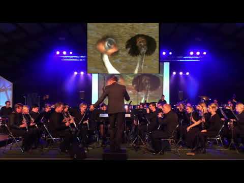 Excelsior Eibergen - "Water"