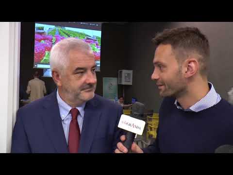 Notizie Utili - 61a Sagra della fragola