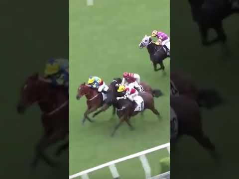 OH MY 🤯 Have you ever seen a photo finish between FOUR horses!? Who won? 👀 🎥 HKJC_Racing