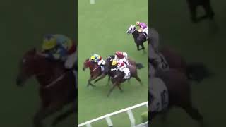 Download lagu OH MY 🤯 Have you ever seen a photo finish between FOUR horses!? Who won? 👀 🎥 HKJC_Racing mp3 Download lagu OH MY 🤯 Have you ever seen a photo finish between FOUR horses!? Who won? 👀 🎥 HKJC_Racing mp3